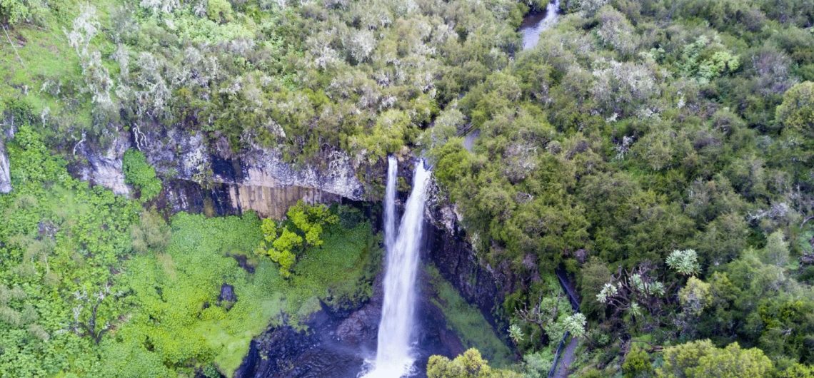 Aberdare National Park