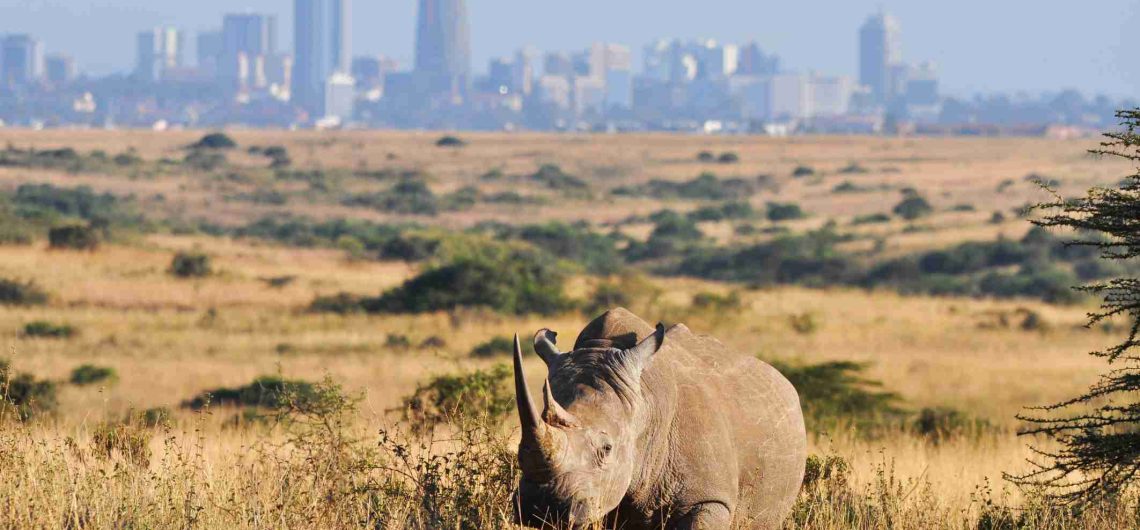 Nairobi National Park