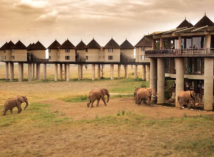 Taita Salt Lick Lodge Taita Hills Wildlife Sanctuary