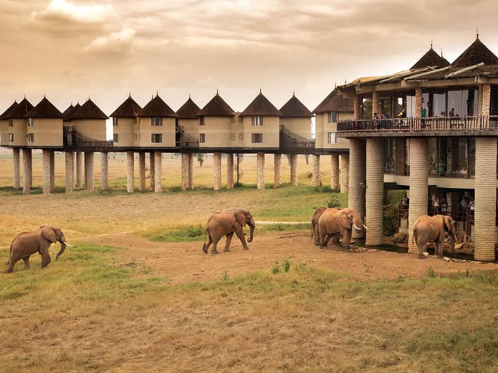 Taita Salt Lick Lodge Taita Hills Wildlife Sanctuary