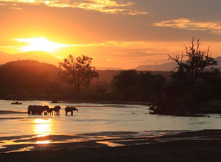 Samburu Game Reserve