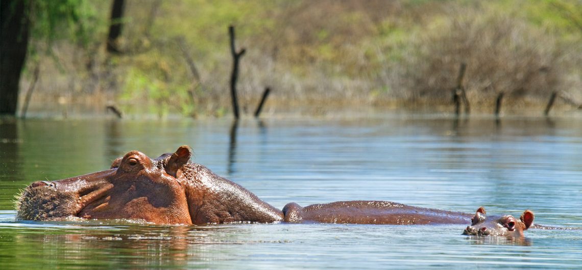 Lake Baringo