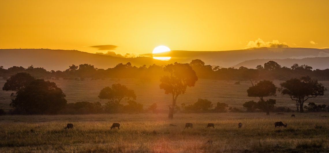 Maasai Mara Sunset