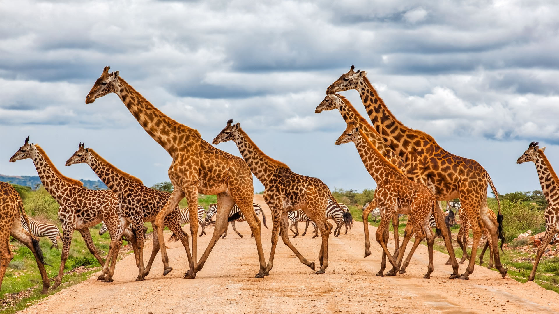 Safari in Kenya
